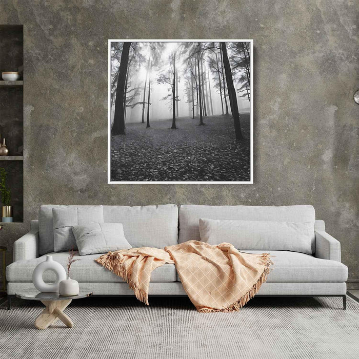 Forest Photography #021 - Kanvah