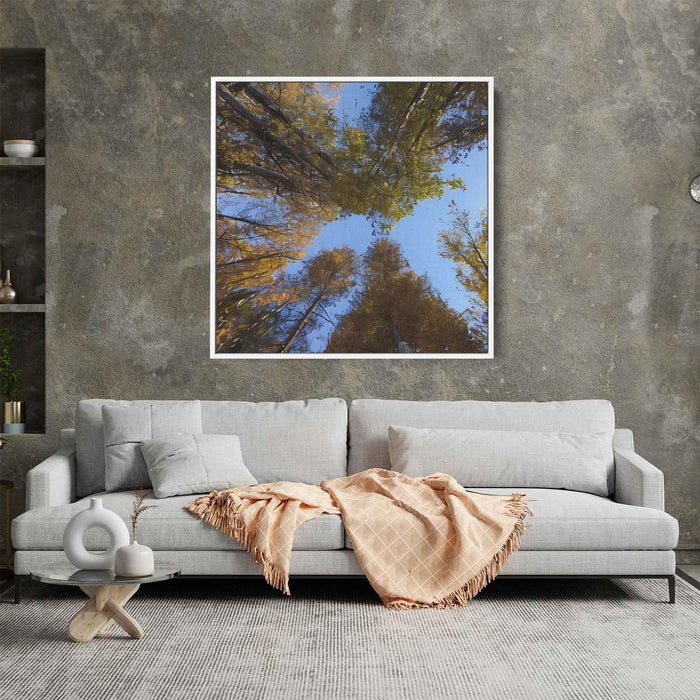 Forest Photography #029 - Kanvah