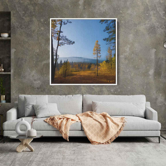 Forest Photography #031 - Kanvah