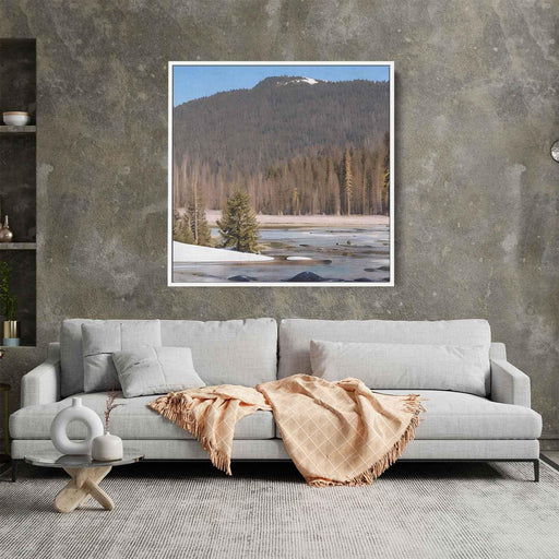 Forest Photography #033 - Kanvah