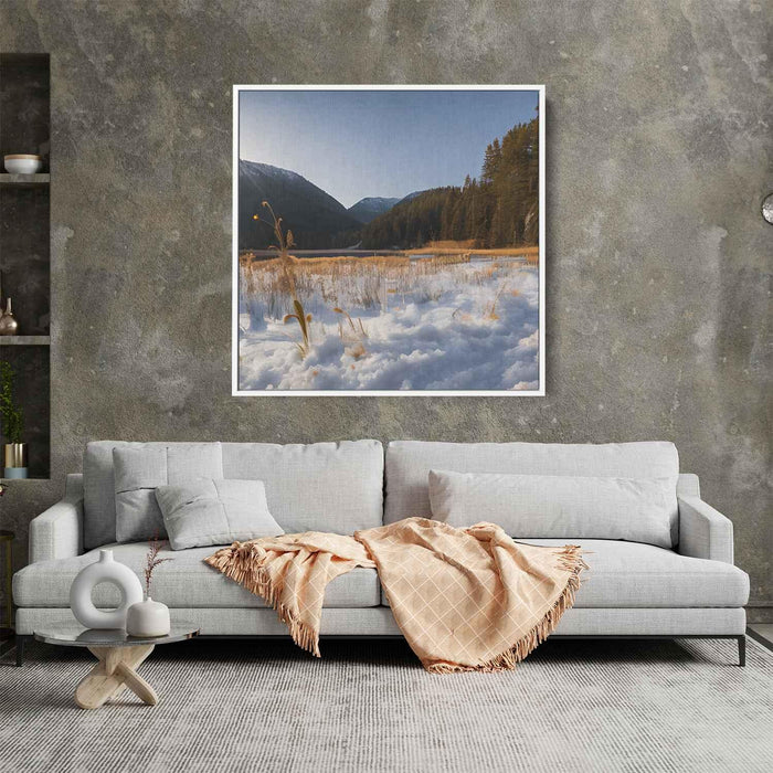 Forest Photography #035 - Kanvah