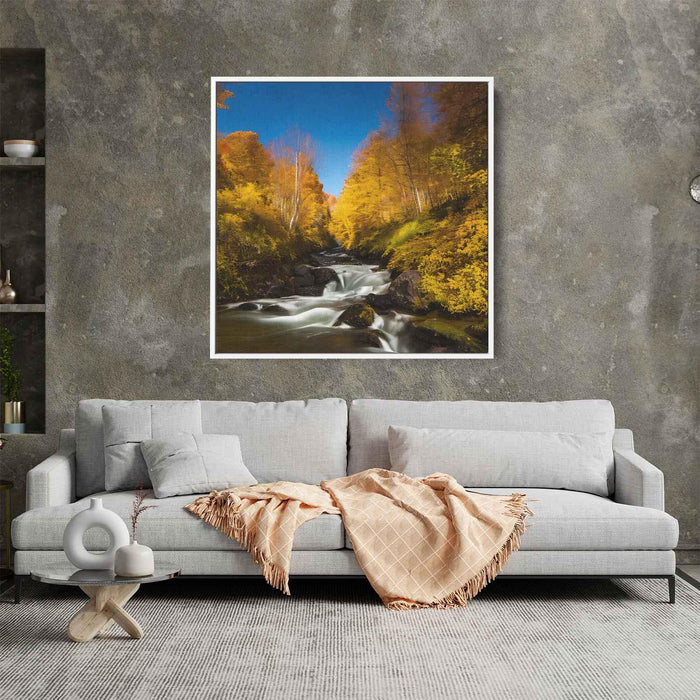 Forest Photography #037 - Kanvah