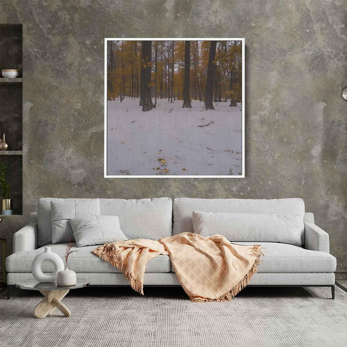 Forest Photography #041 - Kanvah