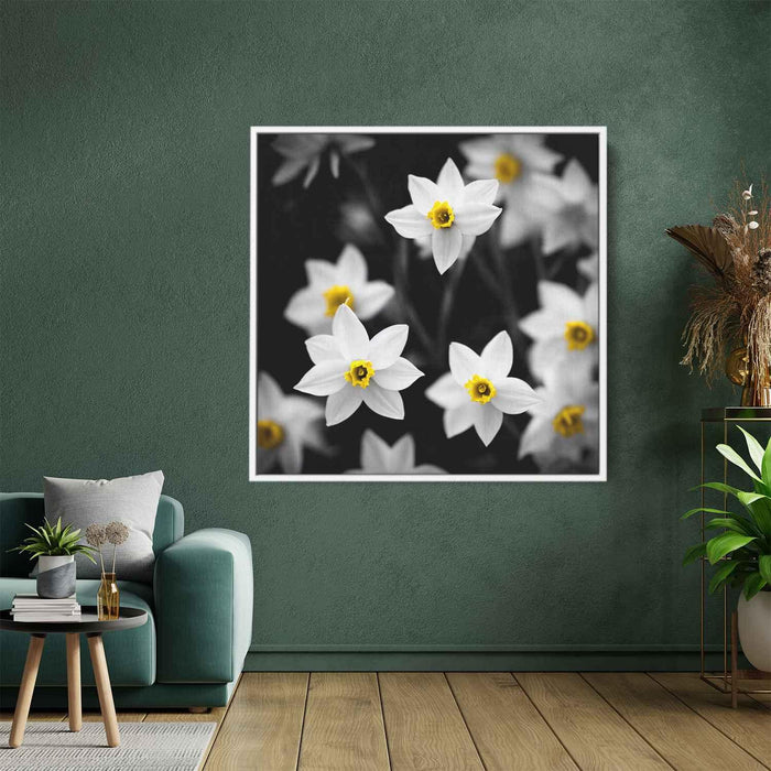 Black and White Daffodils #005 - Kanvah