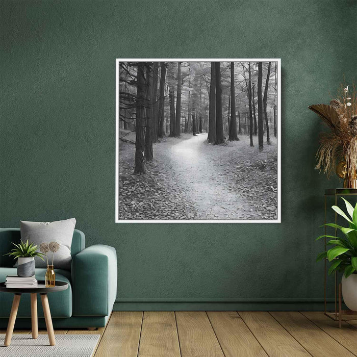 Forest Photography #003 - Kanvah