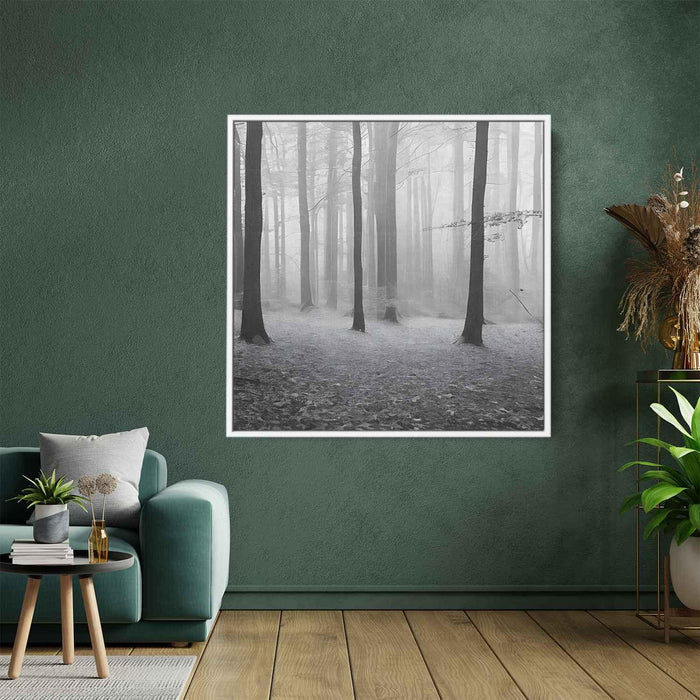 Forest Photography #007 - Kanvah