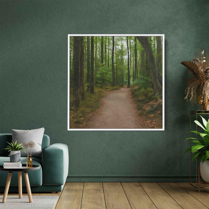 Forest Photography #013 - Kanvah