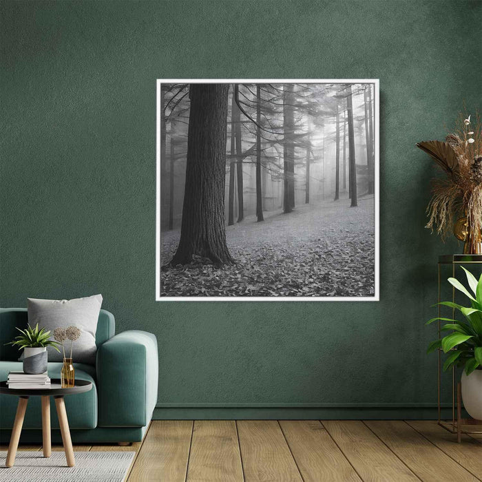 Forest Photography #017 - Kanvah