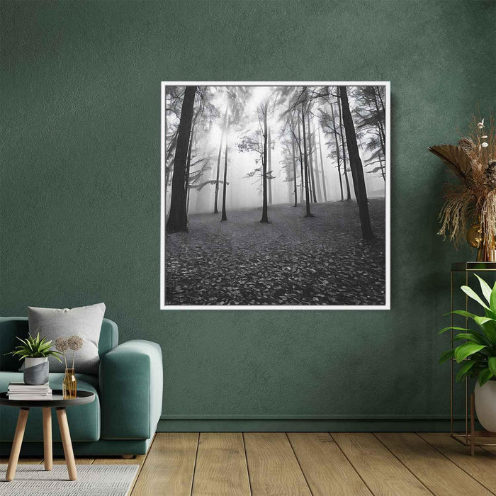 Forest Photography #021 - Kanvah