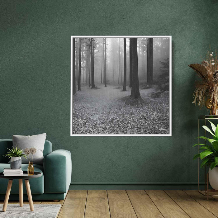 Forest Photography #027 - Kanvah