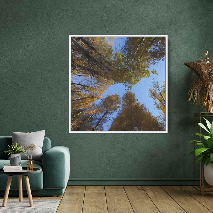 Forest Photography #029 - Kanvah