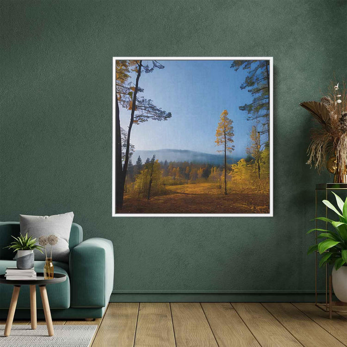 Forest Photography #031 - Kanvah