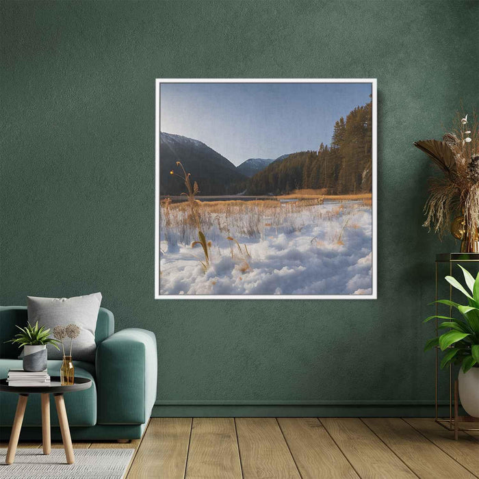 Forest Photography #035 - Kanvah