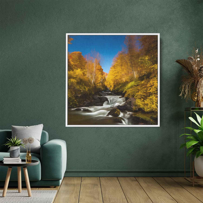 Forest Photography #037 - Kanvah