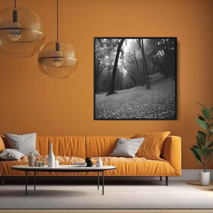 Forest Photography #012 - Kanvah