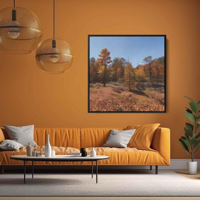 Forest Photography #020 - Kanvah