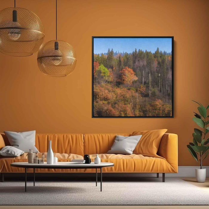 Forest Photography #030 - Kanvah