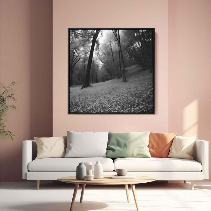 Forest Photography #012 - Kanvah