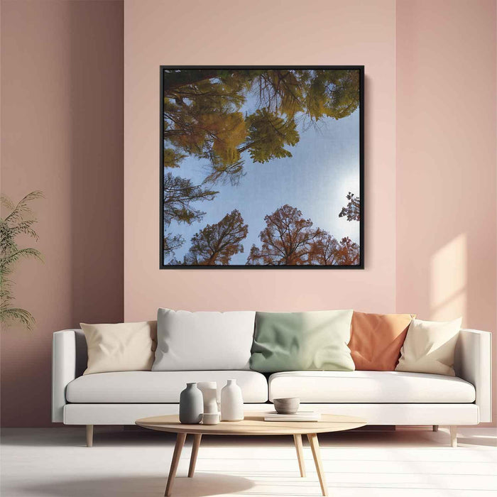 Forest Photography #038 - Kanvah