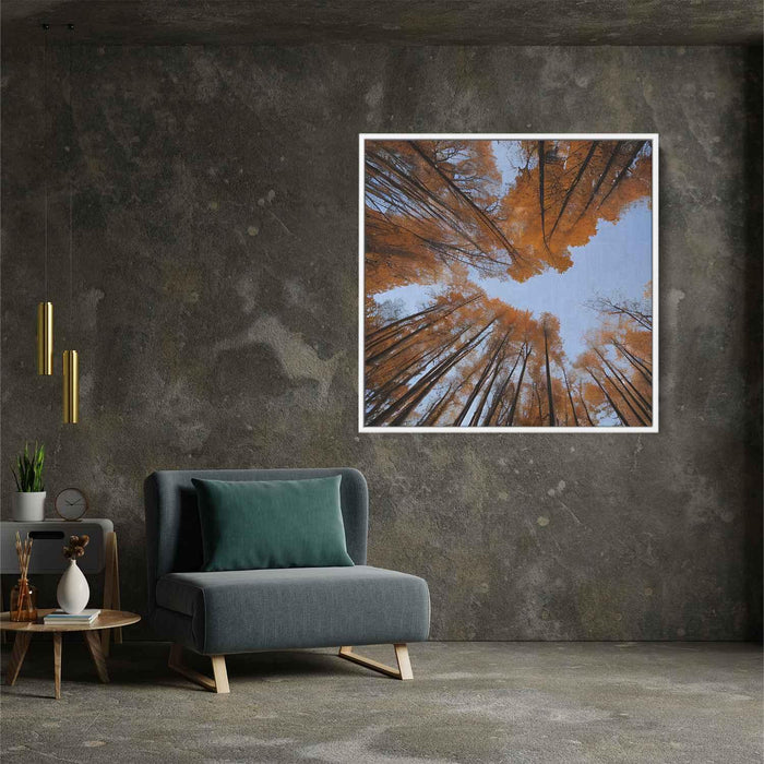 Forest Photography #002 - Kanvah