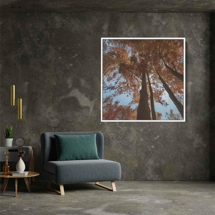 Forest Photography #008 - Kanvah