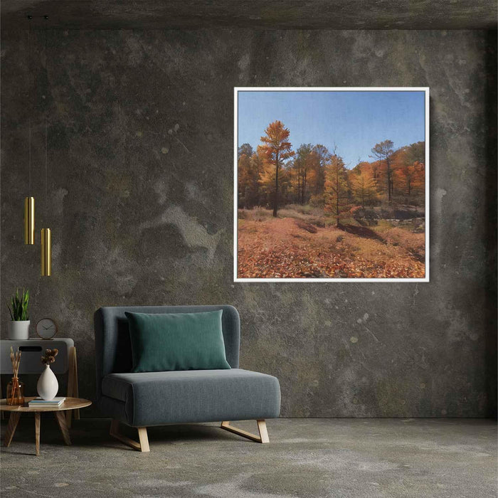 Forest Photography #020 - Kanvah