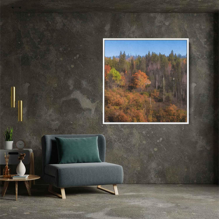 Forest Photography #030 - Kanvah