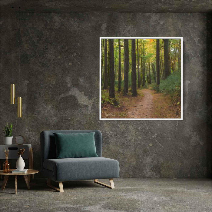 Forest Photography #036 - Kanvah