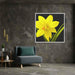 Daffodils Illustration #009 - Kanvah