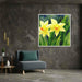 Watercolor Daffodils #002 - Kanvah