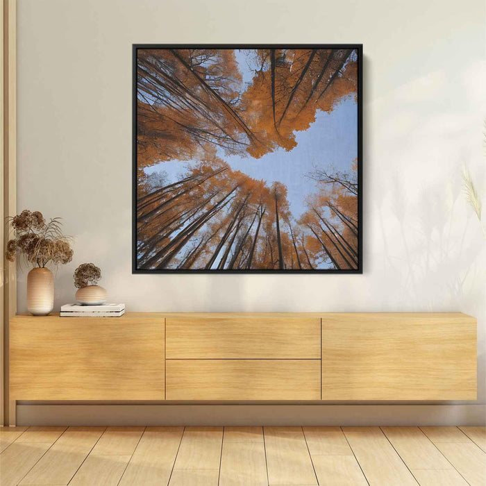 Forest Photography #002 - Kanvah