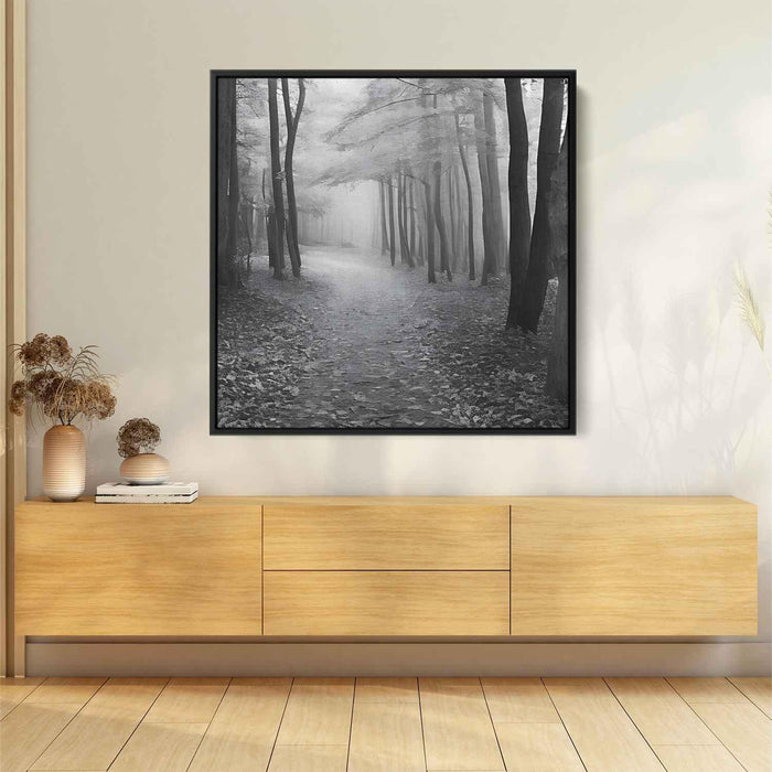 Forest Photography #006 - Kanvah