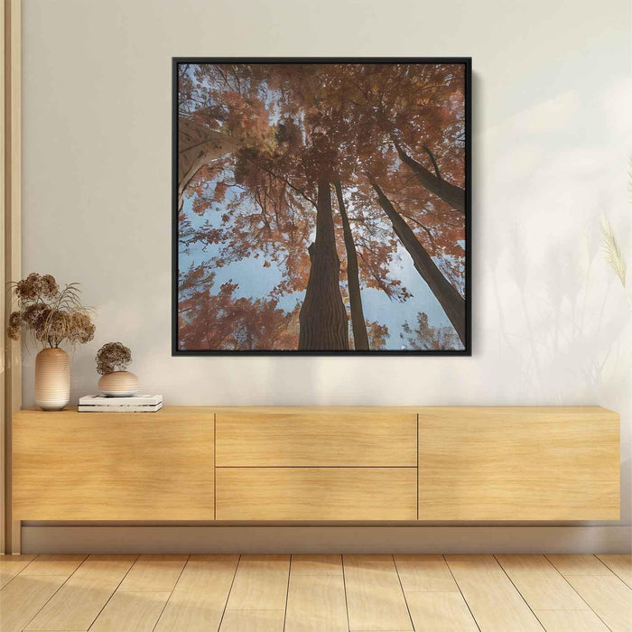 Forest Photography #008 - Kanvah