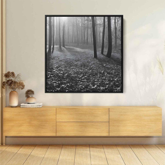 Forest Photography #018 - Kanvah