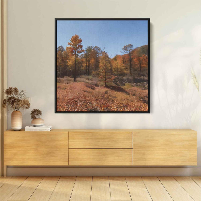 Forest Photography #020 - Kanvah