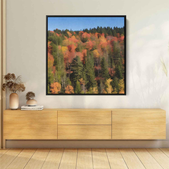 Forest Photography #028 - Kanvah