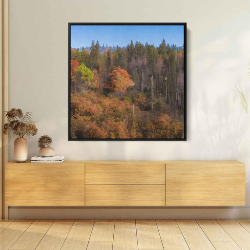 Forest Photography #030 - Kanvah