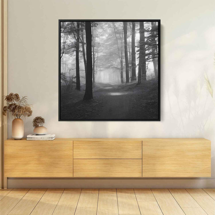 Forest Photography #032 - Kanvah