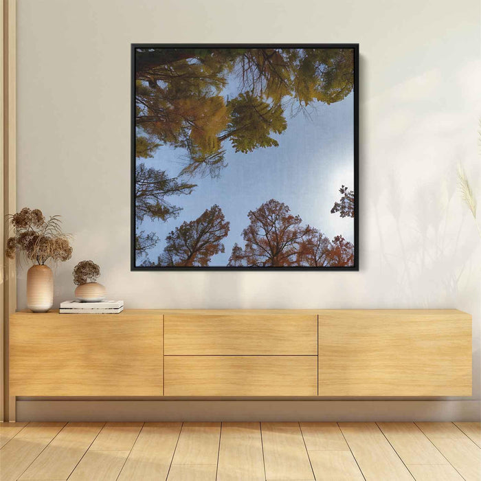 Forest Photography #038 - Kanvah