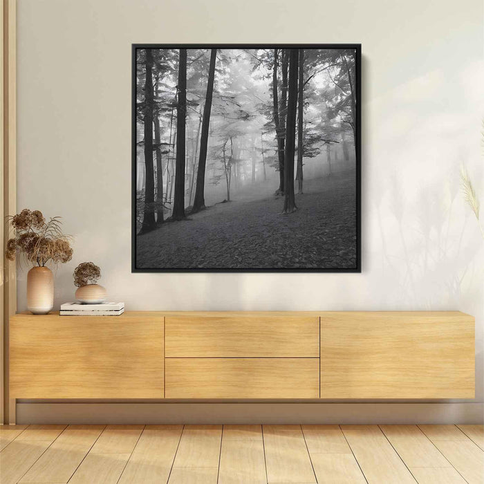 Forest Photography #040 - Kanvah