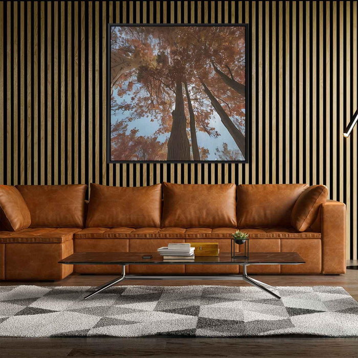 Forest Photography #008 - Kanvah