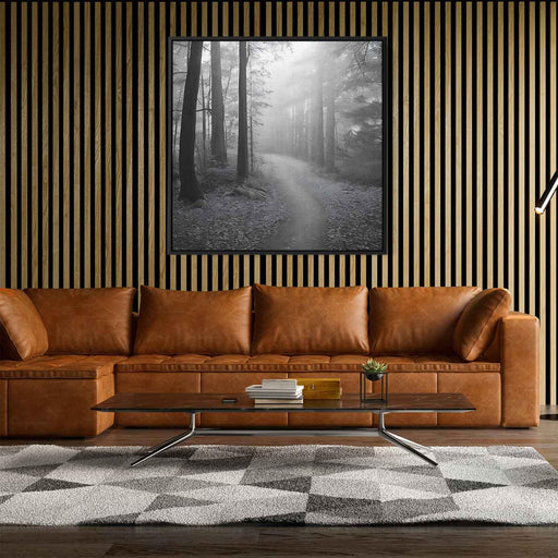 Forest Photography #009 - Kanvah