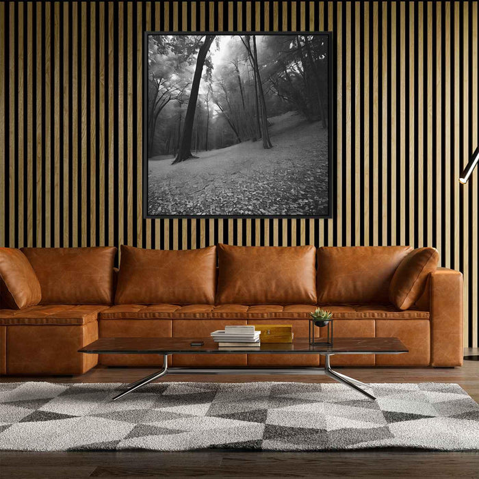 Forest Photography #012 - Kanvah