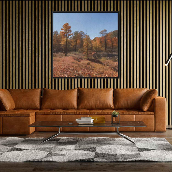 Forest Photography #020 - Kanvah