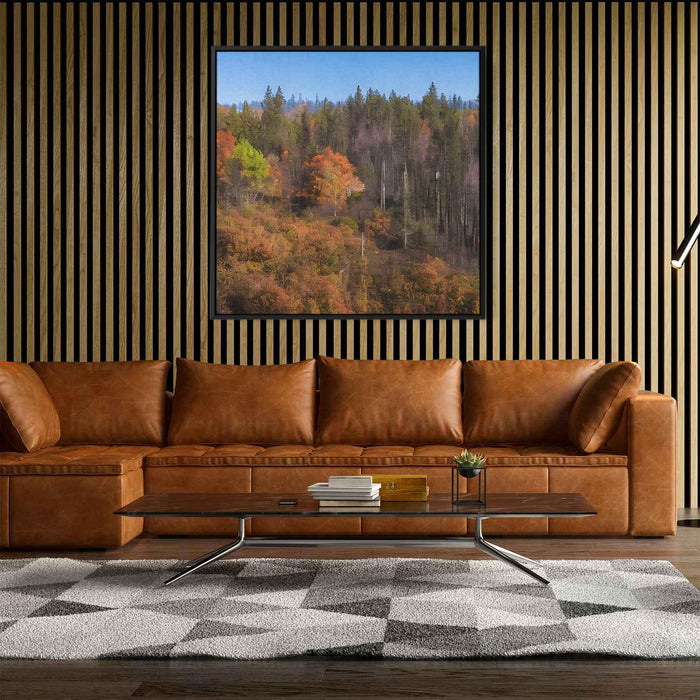 Forest Photography #030 - Kanvah