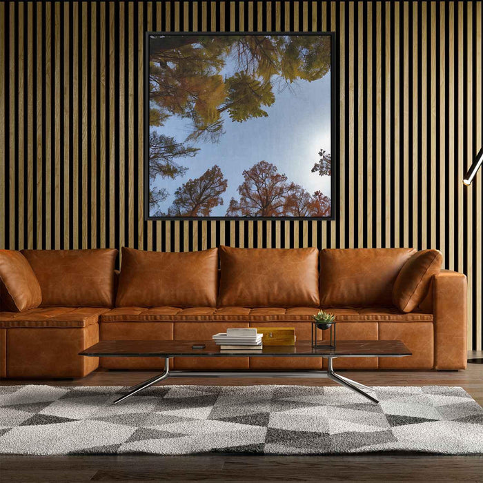 Forest Photography #038 - Kanvah