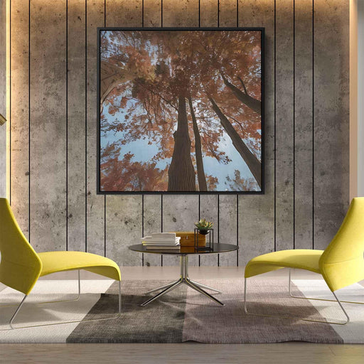 Forest Photography #008 - Kanvah