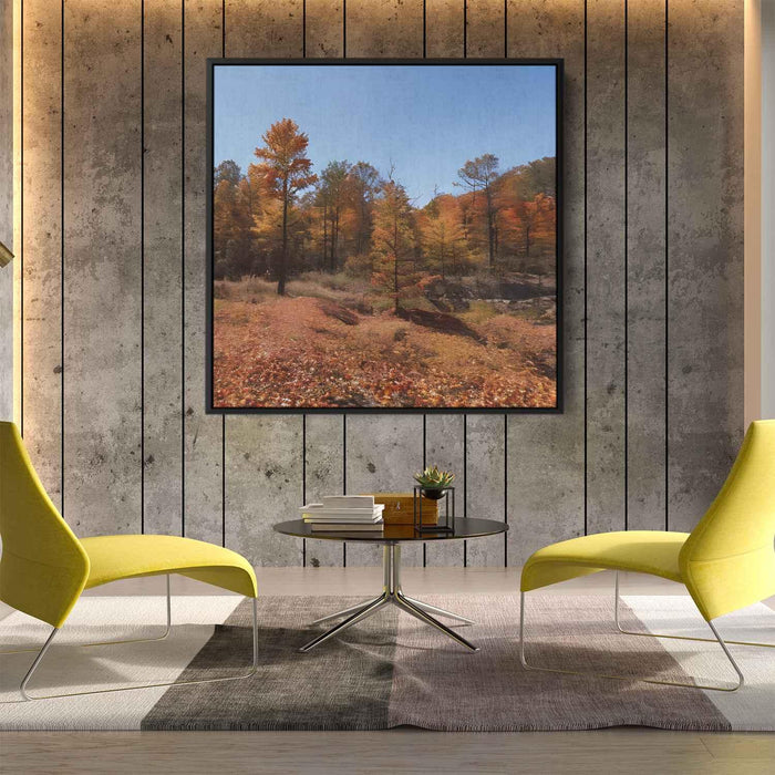 Forest Photography #020 - Kanvah