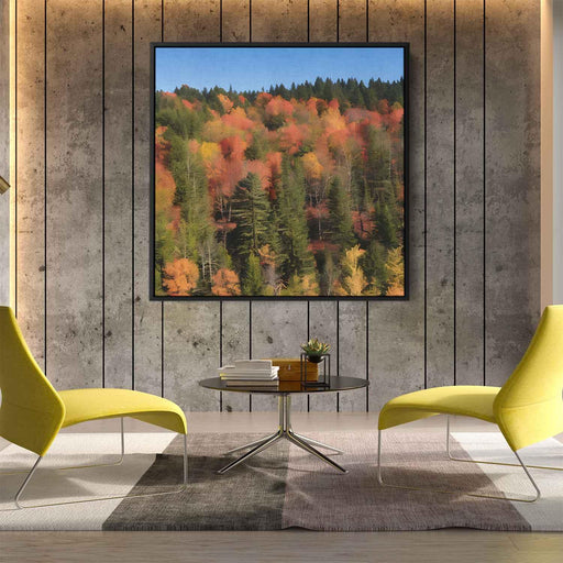 Forest Photography #028 - Kanvah