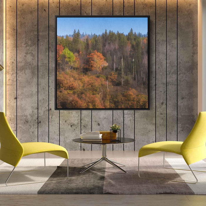 Forest Photography #030 - Kanvah